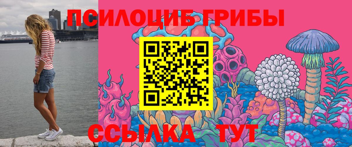 Городец  Галлюциногенные грибы мухоморы  Вход с VPN 