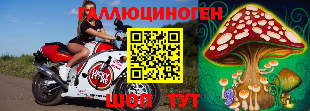 Псилоцибиновые грибы MAGIC MUSHROOMS Городец