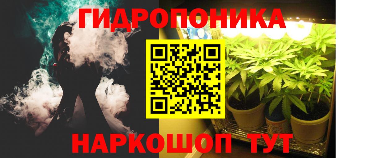 Бошки Шишки сатива Городец
